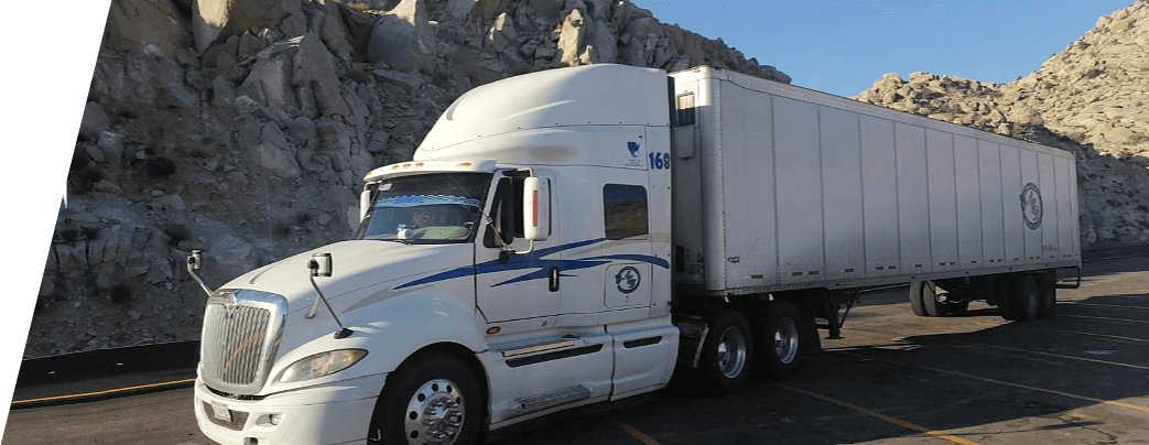 imagen trailer damaja